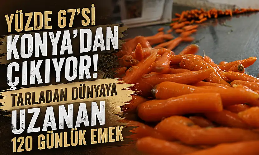 Yüzde 67'si Konya'dan çıkıyor! Tarladan dünyaya uzanan 120 günlük emek