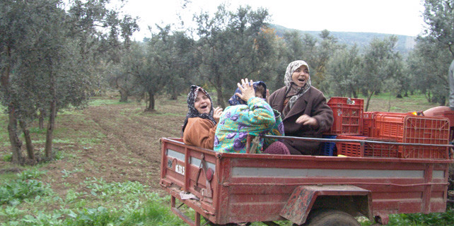 siyah-altinin-golgesinde-6