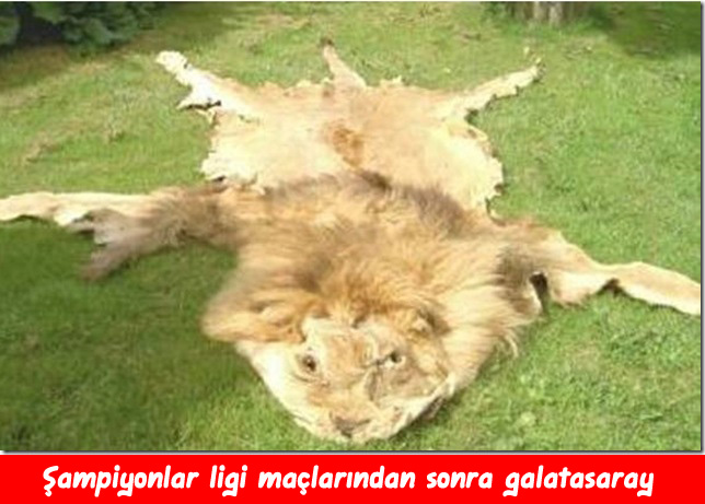 anderlecht-galatasaray-maci-capsleri-23