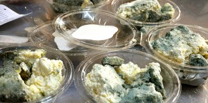 kuflu-peynir-adeta-kullerinden-dogdu-2