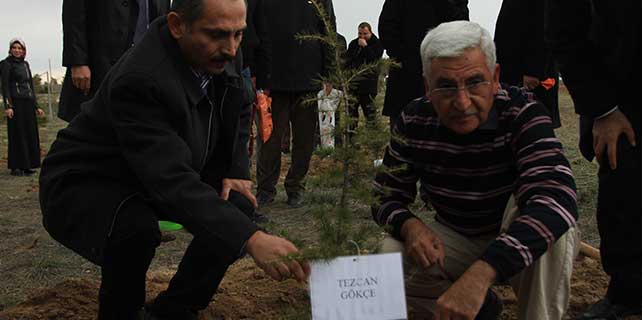 ermenekteki-maden-sehitleri-icin-fidan-dikildi-1