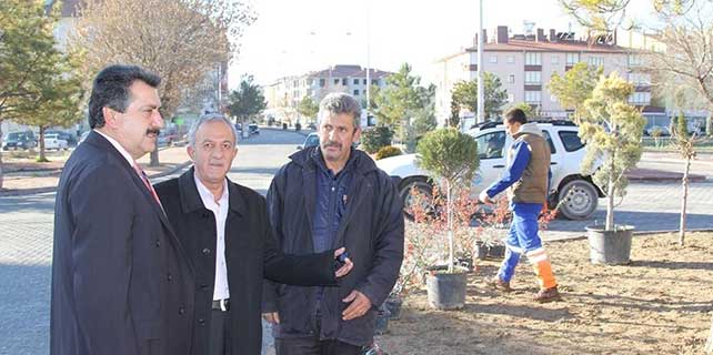 cihanbeylide-agaclandirma-calismalari-yapiliyor-1