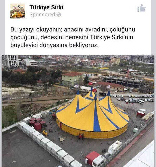 gulme-krizine-sokan-paylasimlar-33