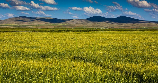 konya-ovasindan-muhtesem-kareler-14