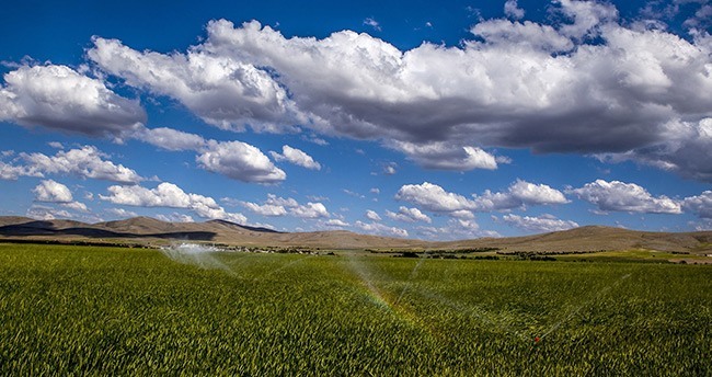 konya-ovasindan-muhtesem-kareler-15