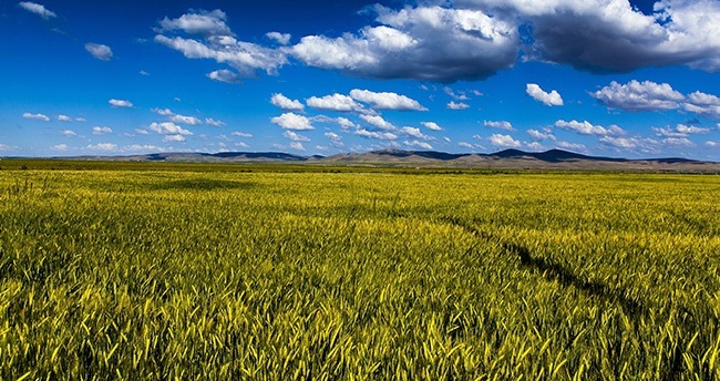 konya-ovasindan-muhtesem-kareler-18