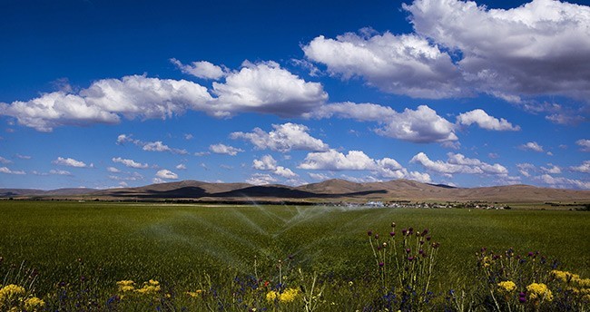 konya-ovasindan-muhtesem-kareler-20