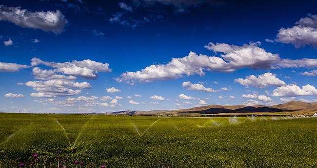 konya-ovasindan-muhtesem-kareler-21