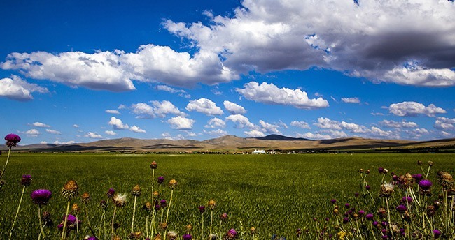 konya-ovasindan-muhtesem-kareler-23