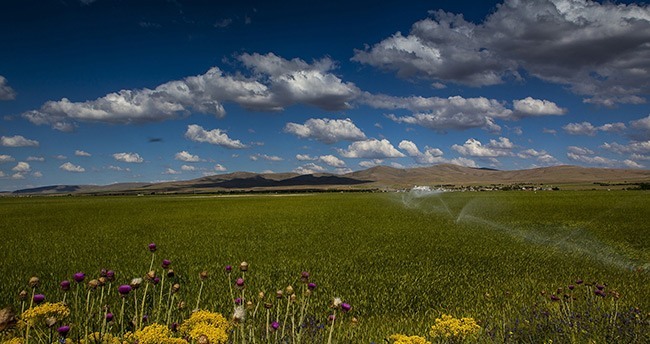 konya-ovasindan-muhtesem-kareler-24