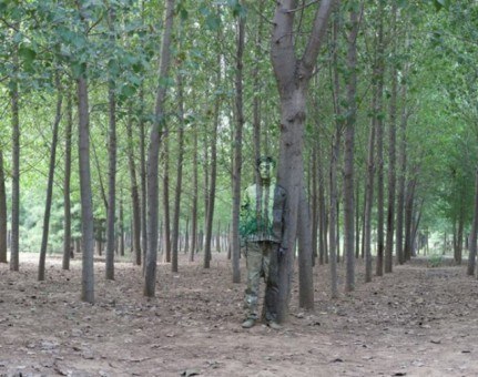 gorunmez-adam-liu-bolin (2)