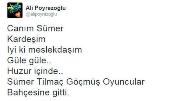 unlulerden-sumer-tilmac-mesajlari-5
