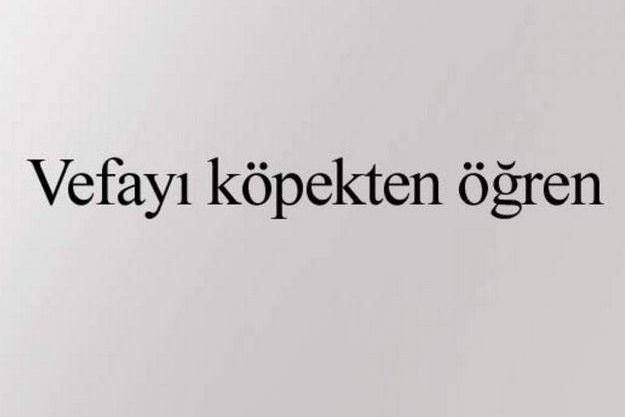 aykiri-atasozleri-20