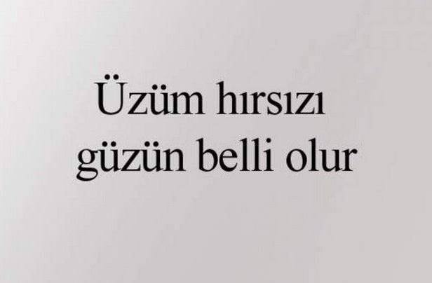 aykiri-atasozleri-28