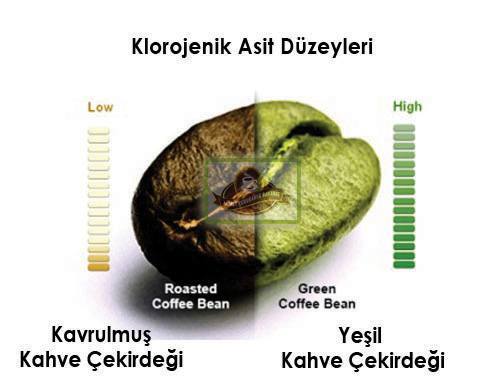 yesil-kahve-2
