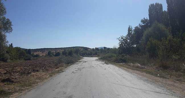 beysehirde-agaclar-budaniyor