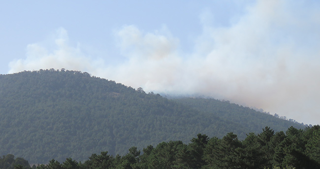 konyada-orman-yangini-20