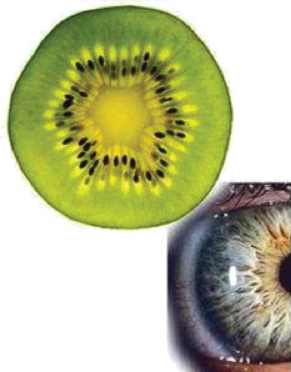 doganin-mucizeleri-2