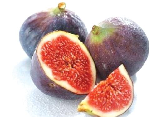 doganin-mucizeleri-10