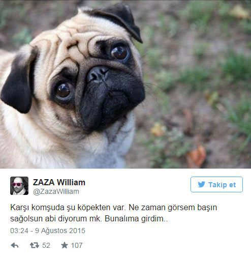 guldururken-dusunduren-yuzde-yuz-katilacaginiz-tespitler-10