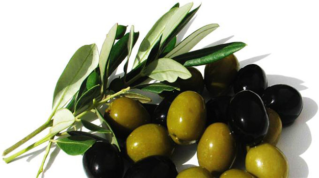zeytin-cekirdegini-yutun-9