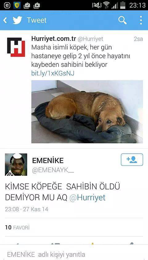 ekim-ayinin-en-komik-sosyal-medya-capsleri-34