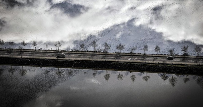 anadolu-ajansi-objektiflerinden-2015in-en-iyi-fotograflari-55