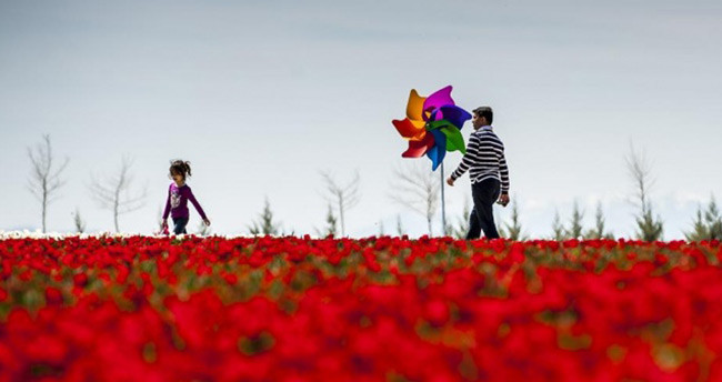 anadolu-ajansi-objektiflerinden-2015in-en-iyi-fotograflari-52