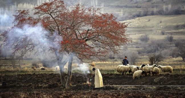 anadolu-ajansi-objektiflerinden-2015in-en-iyi-fotograflari-53