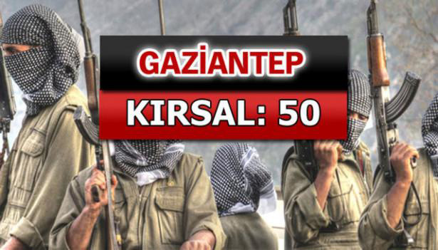 iste-pkkli-hainlerin-il-il-dagilimi-32