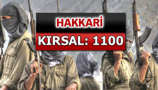 iste-pkkli-hainlerin-il-il-dagilimi-35