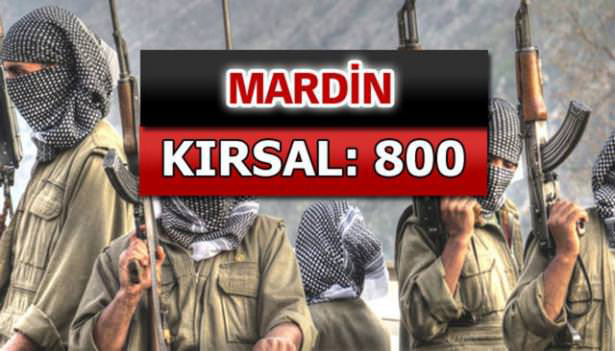 iste-pkkli-hainlerin-il-il-dagilimi-50