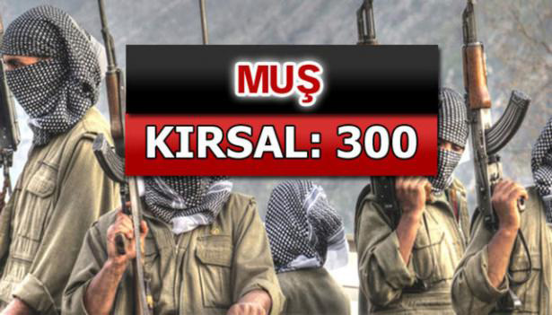 iste-pkkli-hainlerin-il-il-dagilimi-53