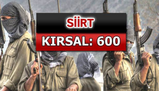 iste-pkkli-hainlerin-il-il-dagilimi-56