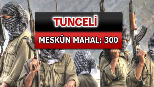 iste-pkkli-hainlerin-il-il-dagilimi-64