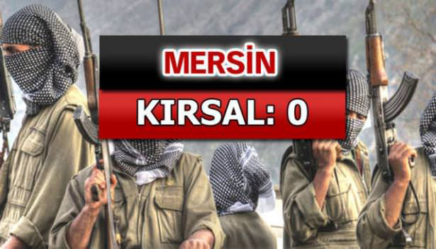 iste-pkkli-hainlerin-il-il-dagilimi-71