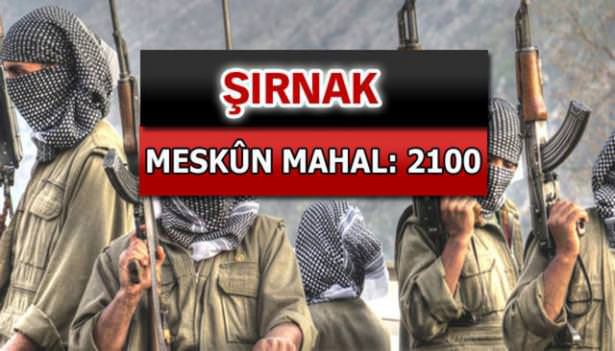 iste-pkkli-hainlerin-il-il-dagilimi-73