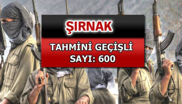 iste-pkkli-hainlerin-il-il-dagilimi-75