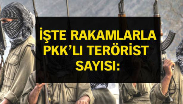 iste-pkkli-hainlerin-il-il-dagilimi-76
