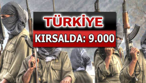 iste-pkkli-hainlerin-il-il-dagilimi-78