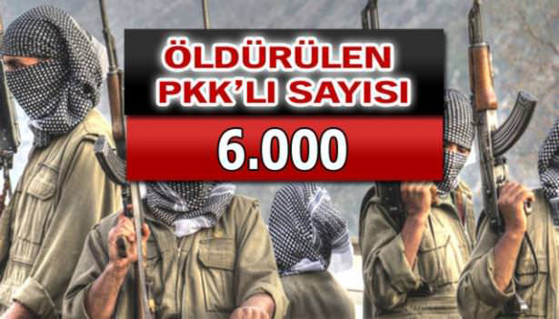 iste-pkkli-hainlerin-il-il-dagilimi-85