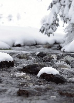 doganin-en-etkileyici-hareketli-fotograflari-37