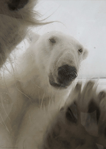 doganin-en-etkileyici-hareketli-fotograflari-31