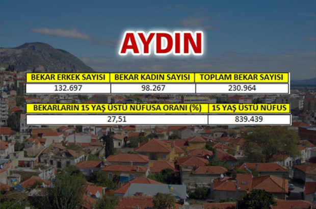 en-fazla-bekar-hangi-ilde-2