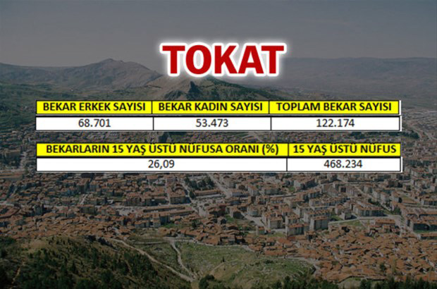 en-fazla-bekar-hangi-ilde-15