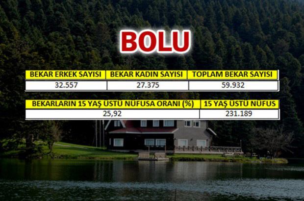 en-fazla-bekar-hangi-ilde-16