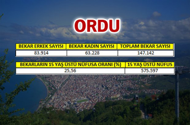 en-fazla-bekar-hangi-ilde-18