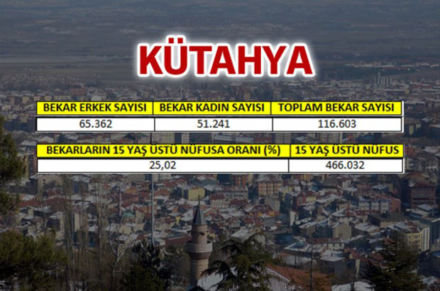en-fazla-bekar-hangi-ilde-20
