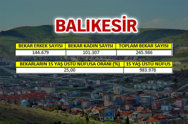 en-fazla-bekar-hangi-ilde-21