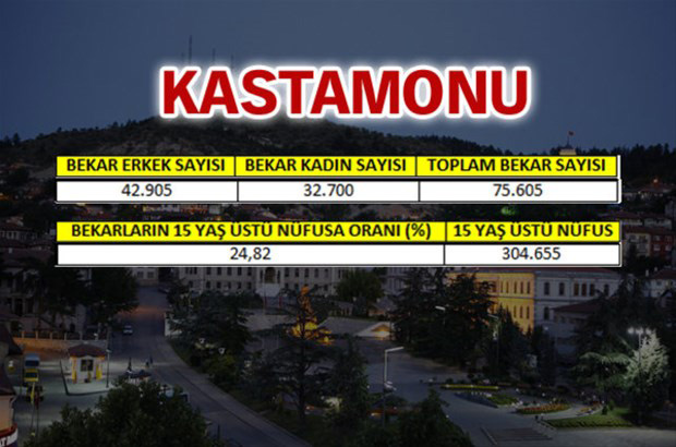 en-fazla-bekar-hangi-ilde-24